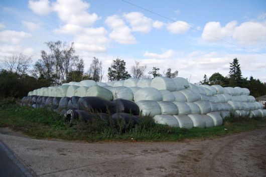 Plastične vrečice na hrpi, Foto: Nigel Chadwick/Wikimedia